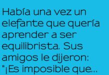 El Elefante Equilibrista y su Caída Estilosa