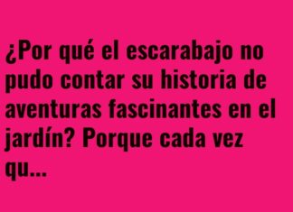 El escarabajo y su aventura entre cortes y cómics
