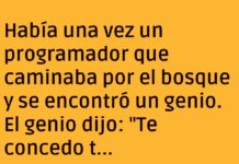 «El Genio y el Programador Desbuggeador»