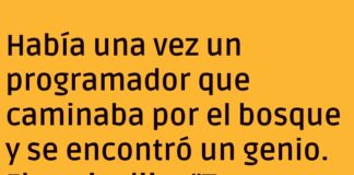 «El Genio y el Programador Desbuggeador»