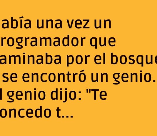 «El Genio y el Programador Desbuggeador»