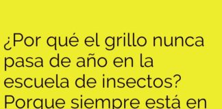 El Grillo y su Bucle Melódico