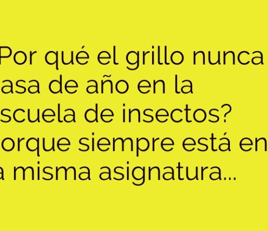 El Grillo y su Bucle Melódico