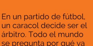 El Lento VAR-iente del Caracol Árbitro