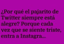 El Pajarito Optimista twittea su Propio Sol
