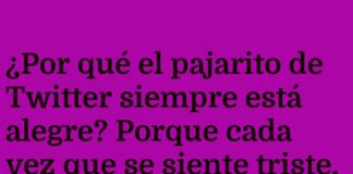 El Pajarito Optimista twittea su Propio Sol