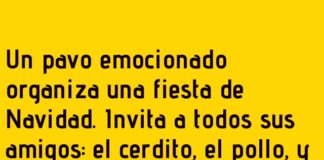 El pavo y su «buffet» navideño inesperado