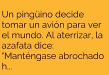 El Pingüino y su Viaje al Polo Sur