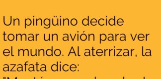 El Pingüino y su Viaje al Polo Sur