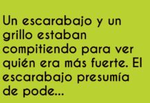 El Poder de Hacer Ruido