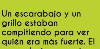 El Poder de Hacer Ruido
