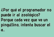 El programador y el pingüino custodio