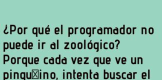 El programador y el pingüino custodio