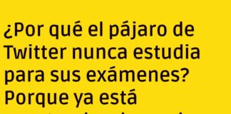 El Pájaro de Twitter: Maestro del Sobrevuelo Académico