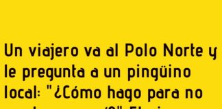 «El truco de never perderse en el Polo Norte»