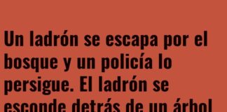 El árbol delator.
