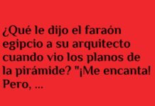 «Faraón busca ascensor en la pirámide»