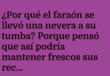 Faraón Desenchufado en la Eternidad.