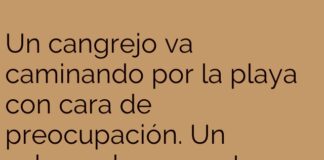 Identidad Crustácea en Crisis