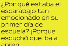 La Aventura Escolar del Escarabajo Subterráneo