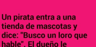 La Banda de Rock Pirata del Loro Baterista