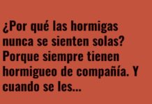 La Fiesta HormigaPuntoCom