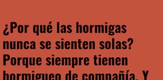 La Fiesta HormigaPuntoCom