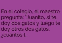La lógica felina de Juanito
