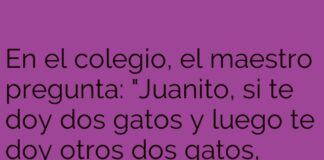 La lógica felina de Juanito