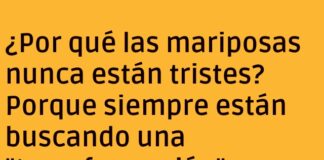 La Metamorfosis de la Alegría