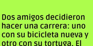 La Venganza de la Tortuga a Cámara Lenta