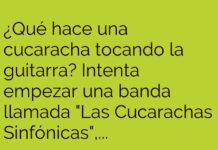 «Las Cucarachas Sinfónicas: Un Concierto de Caos»