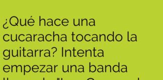 «Las Cucarachas Sinfónicas: Un Concierto de Caos»