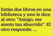 Libros aburridos buscan manual de instrucciones.