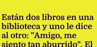 Libros aburridos buscan manual de instrucciones.