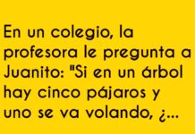 Lógica Pajarera de Juanito