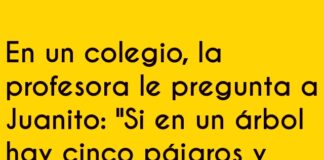 Lógica Pajarera de Juanito