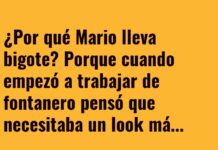 Mario y el bigote salvavidas