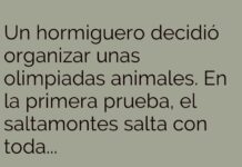 Olimpiadas Injustas: El desafío del saltamontes y la hormiga