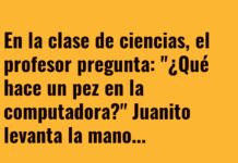 Peces en la Computadora: ¡Nada Hasta la Corriente!