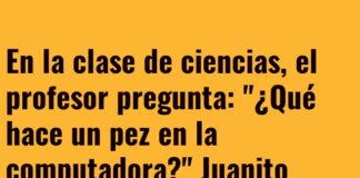 Peces en la Computadora: ¡Nada Hasta la Corriente!