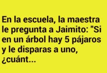 Pensamientos Ingeniosos de Jaimito