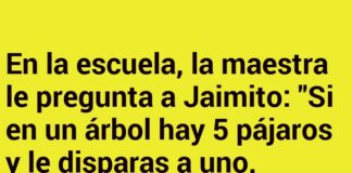 Pensamientos Ingeniosos de Jaimito
