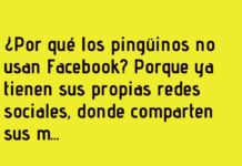 «Pingüinos y sus Redes Sociales Bajo Cero»