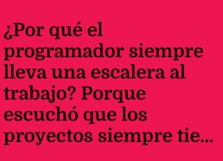 Programador a la Altura de los Bugs