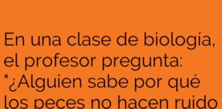 «Reproducción silenciosa: Sin WiFi no hay ruido»