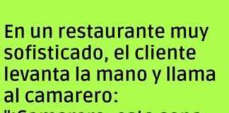 Sopa con truco capilar
