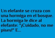 «Tamaño no importa, humor tampoco»
