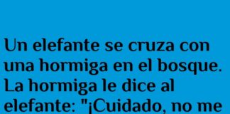 «Tamaño no importa, humor tampoco»