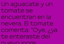 Un descanso en la nevera: la broma del tomate y el aguacate